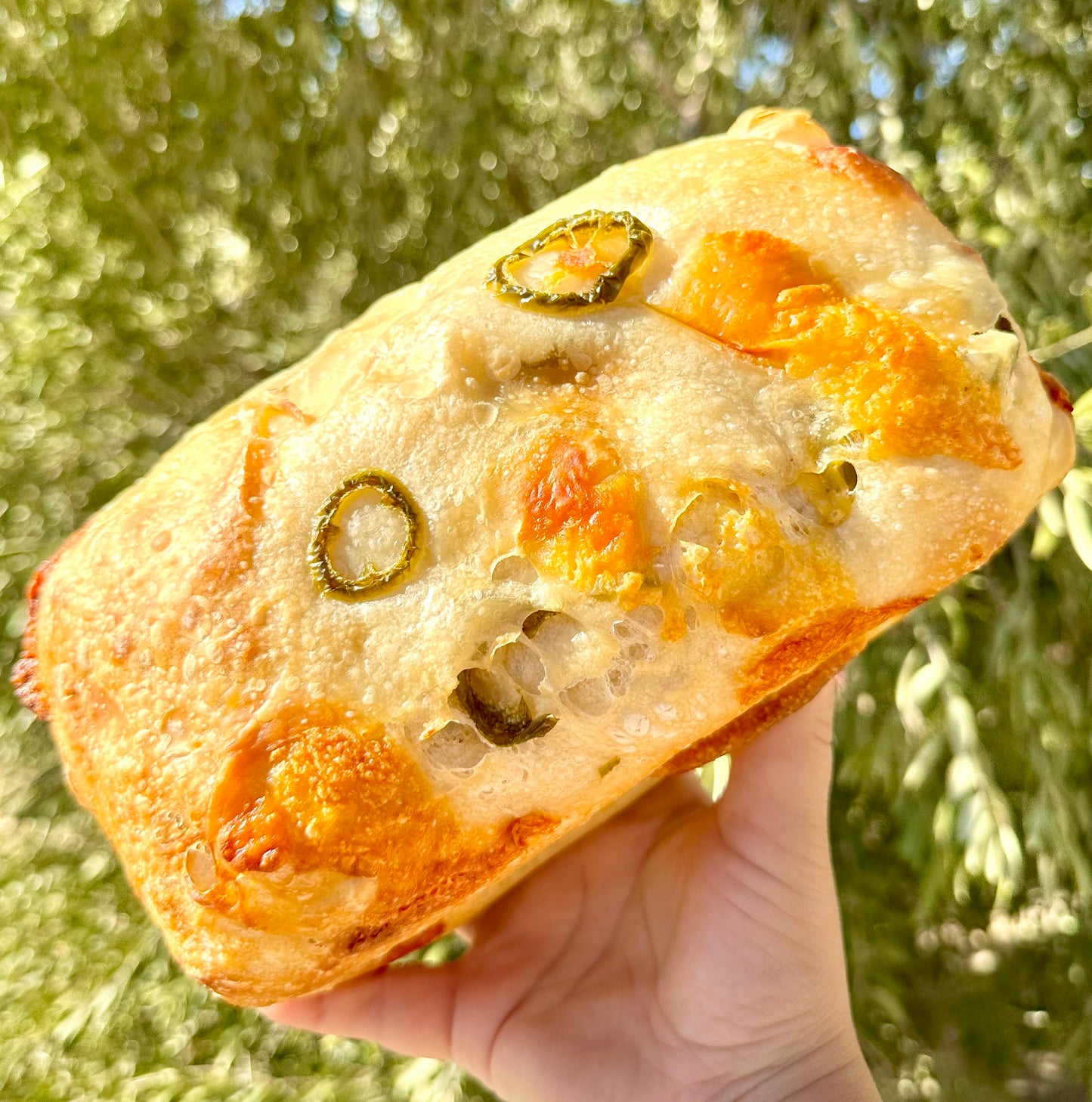 Jalapeno & Cheddar Sourdough Bread