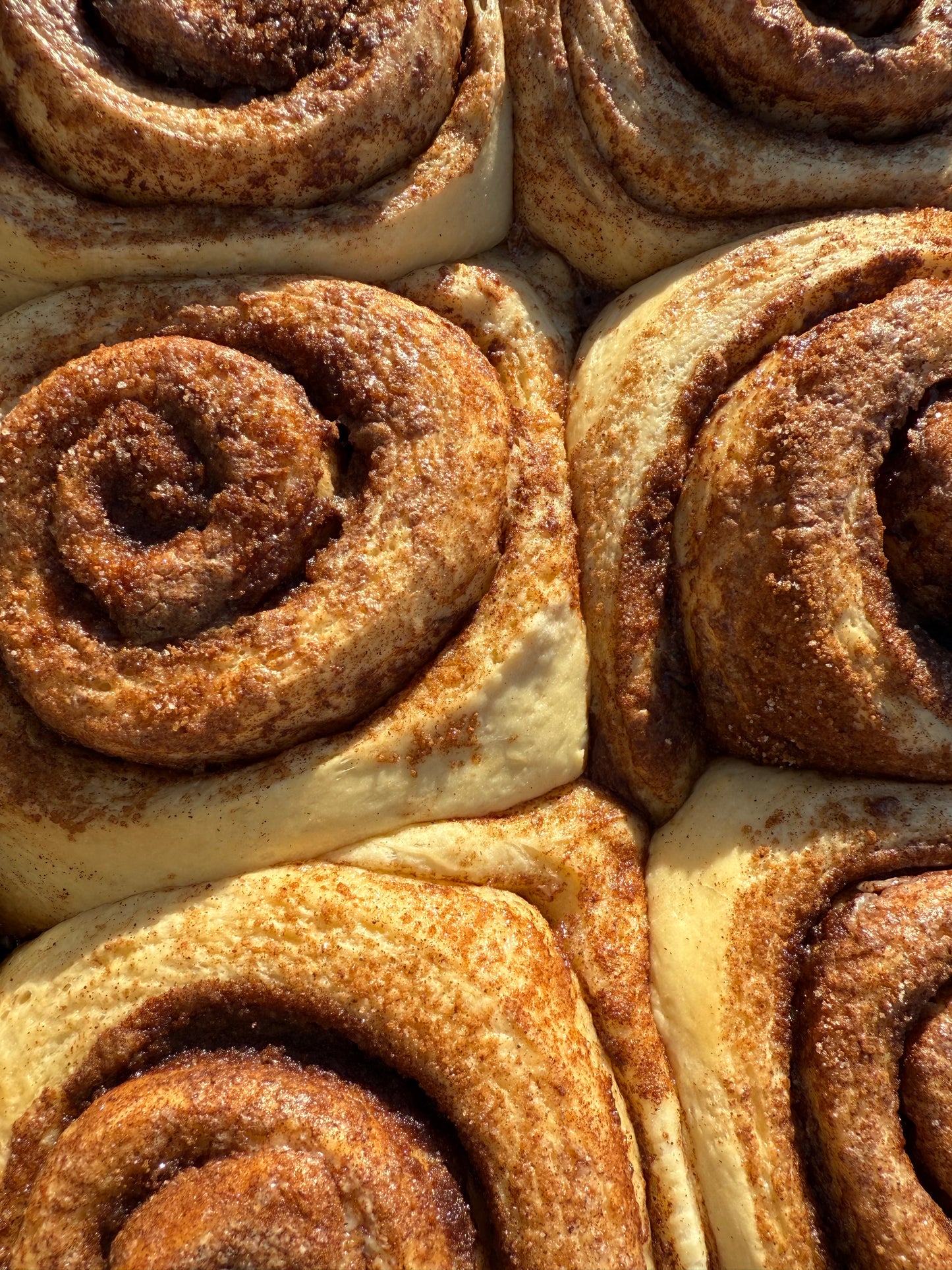 PREORDER NOW CLOSED- CHRISTMAS CINNAMON ROLL PREORDER